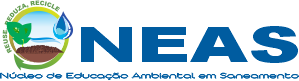 Logo NEAS - Horizontal